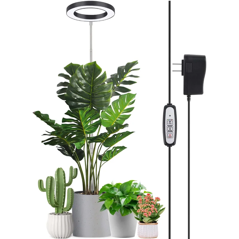lightsdaddy358018