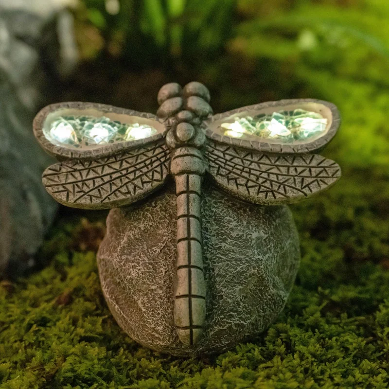 lightsdaddy359809