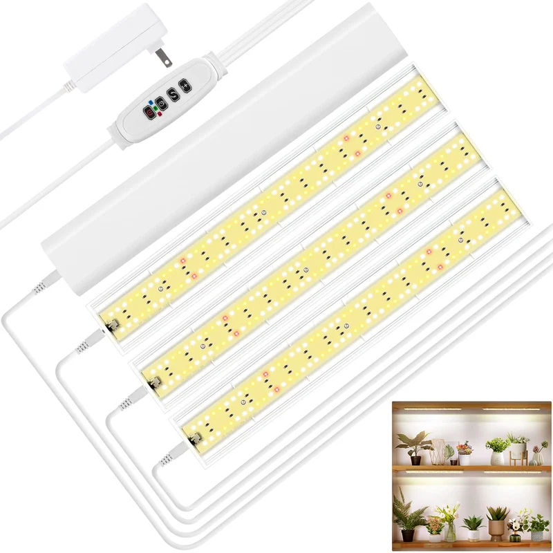lightsdaddy360748
