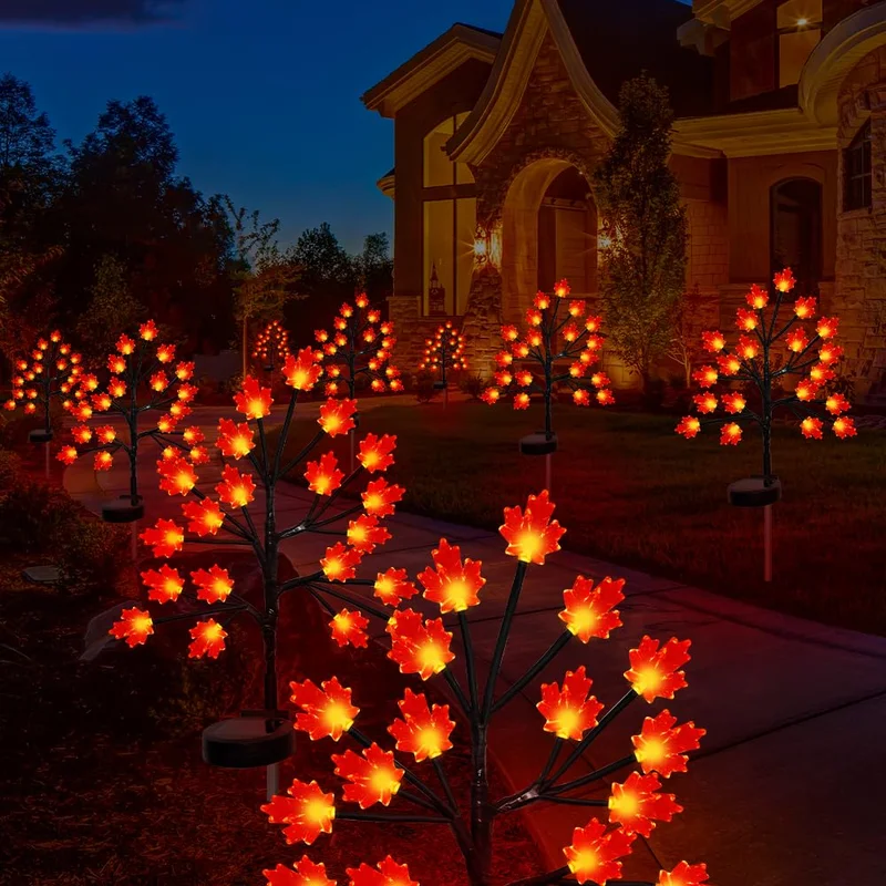lightsdaddy366385