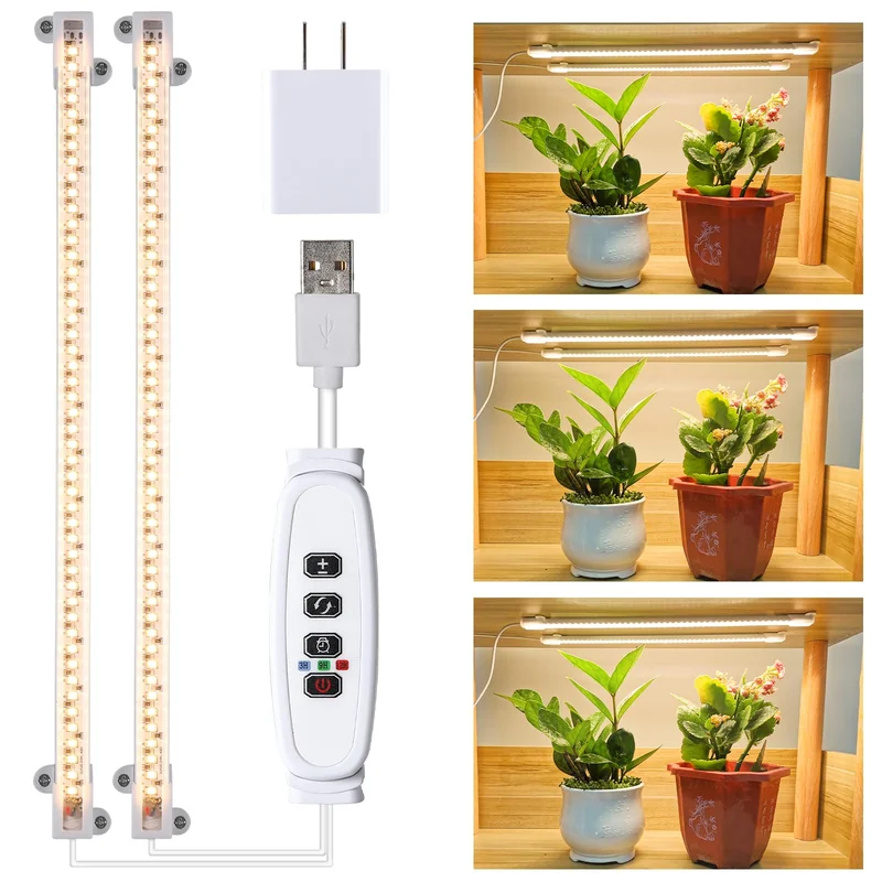 lightsdaddy368905