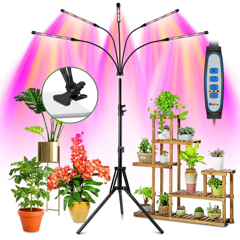 lightsdaddy369097