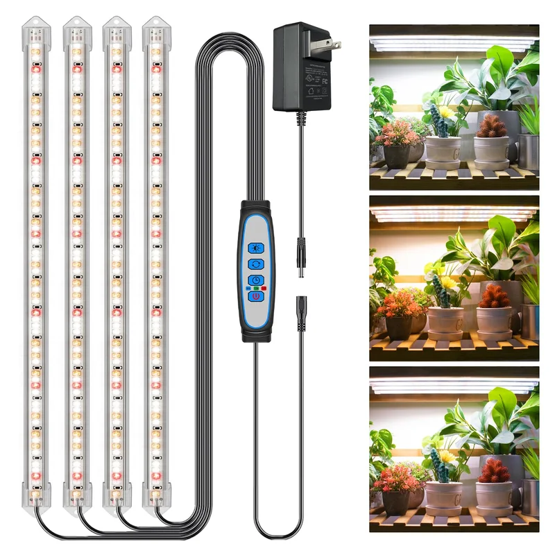 lightsdaddy369149