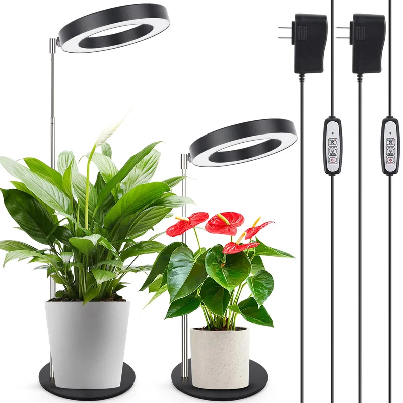 lightsdaddy370056