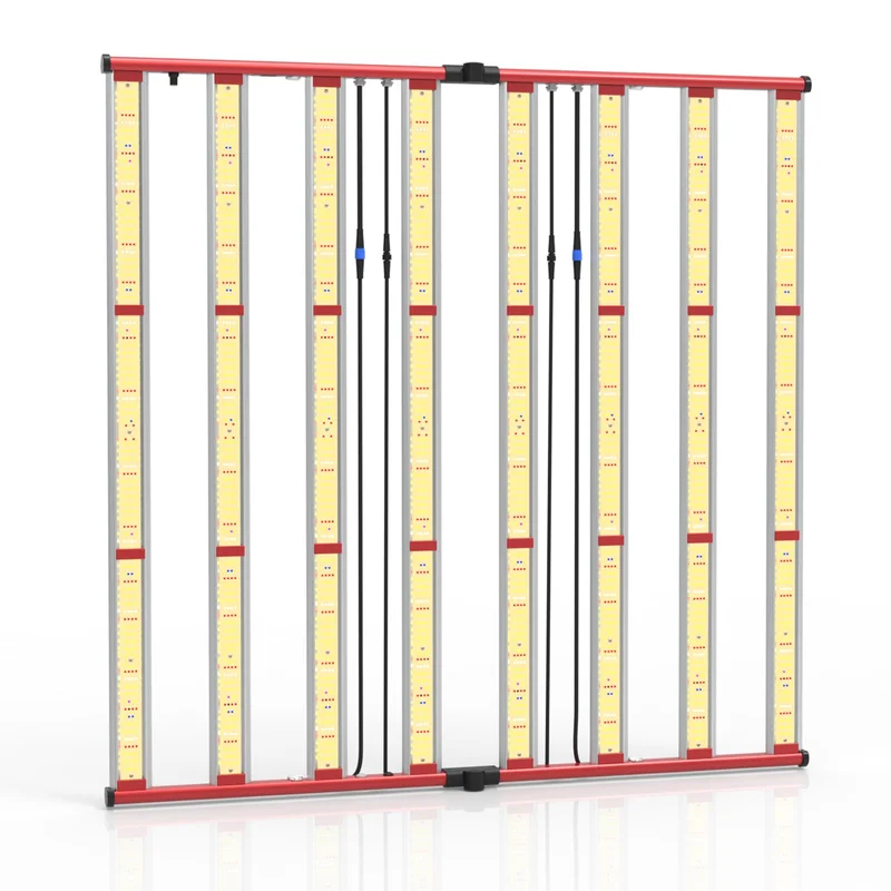 lightsdaddy376380