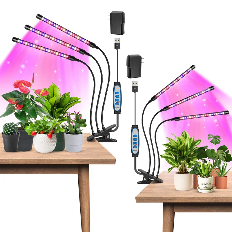 lightsdaddy381182