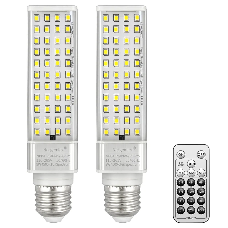 lightsdaddy381265