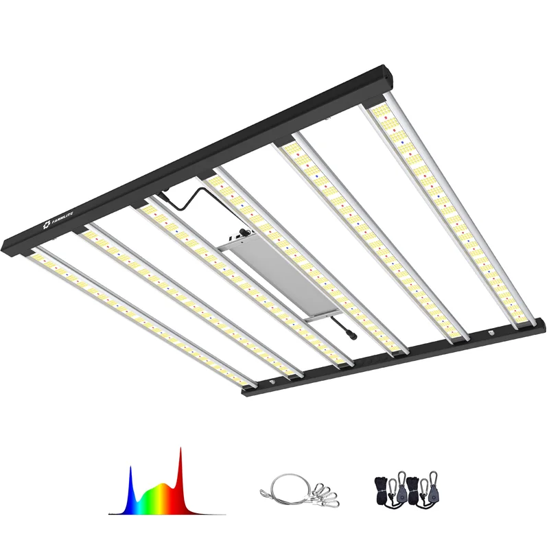 lightsdaddy386329