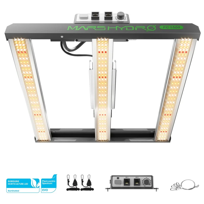 lightsdaddy386344