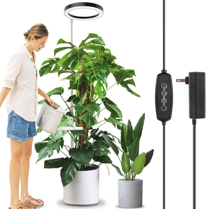 lightsdaddy391799