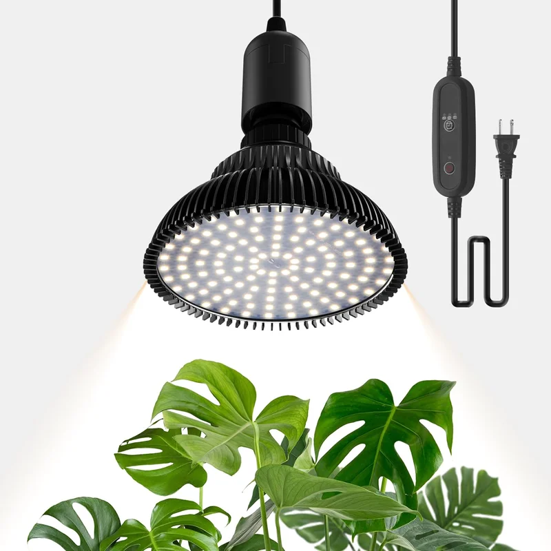 lightsdaddy398029