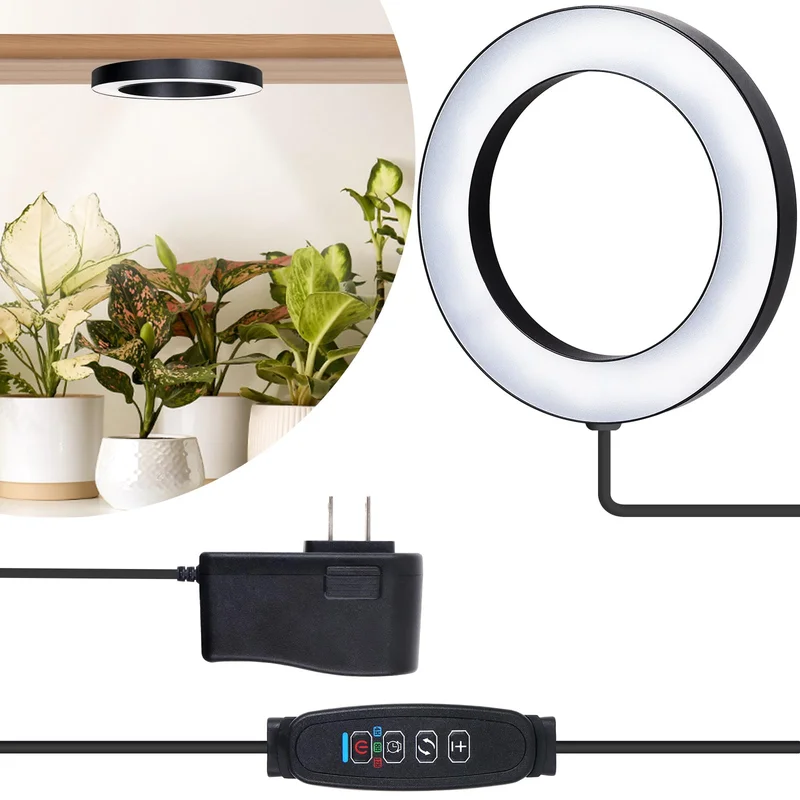 lightsdaddy402209