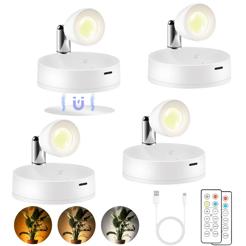 lightsdaddy403898