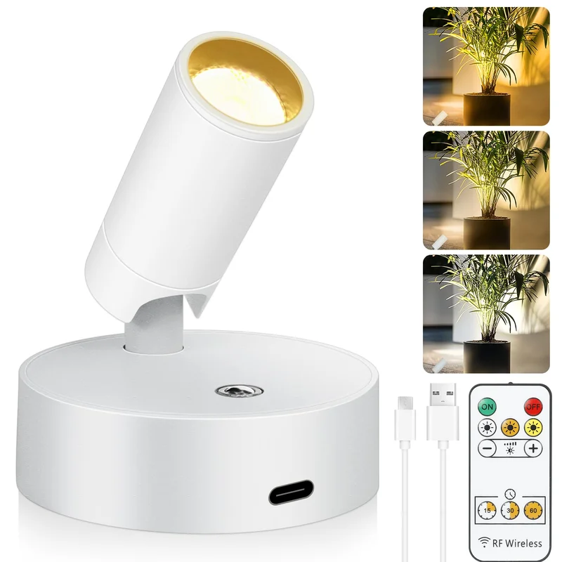 lightsdaddy405033