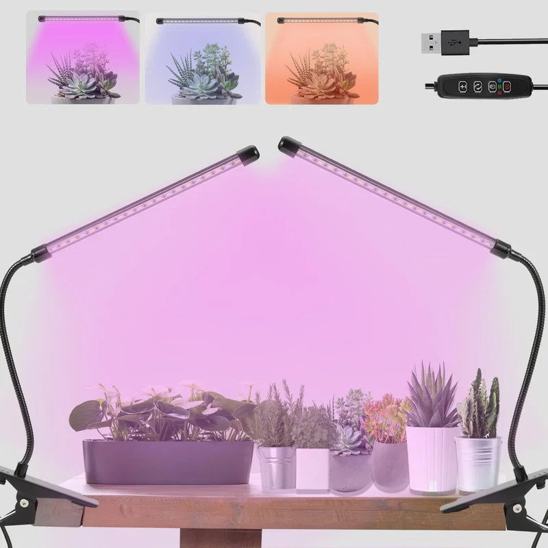 lightsdaddy405206