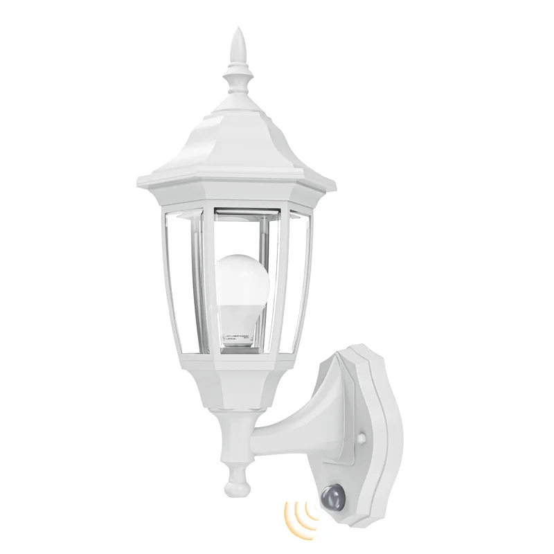 lightsdaddy414636