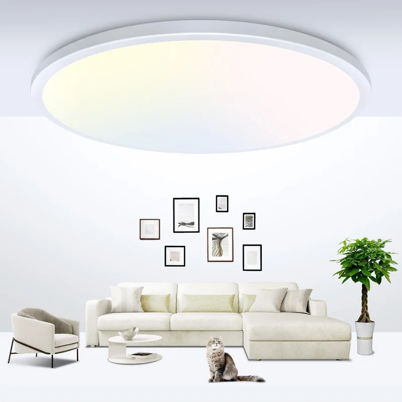 lightsdaddy417863