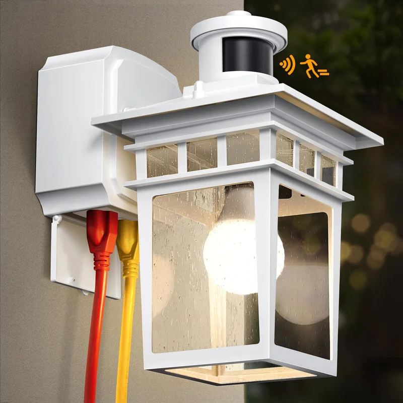 lightsdaddy418789