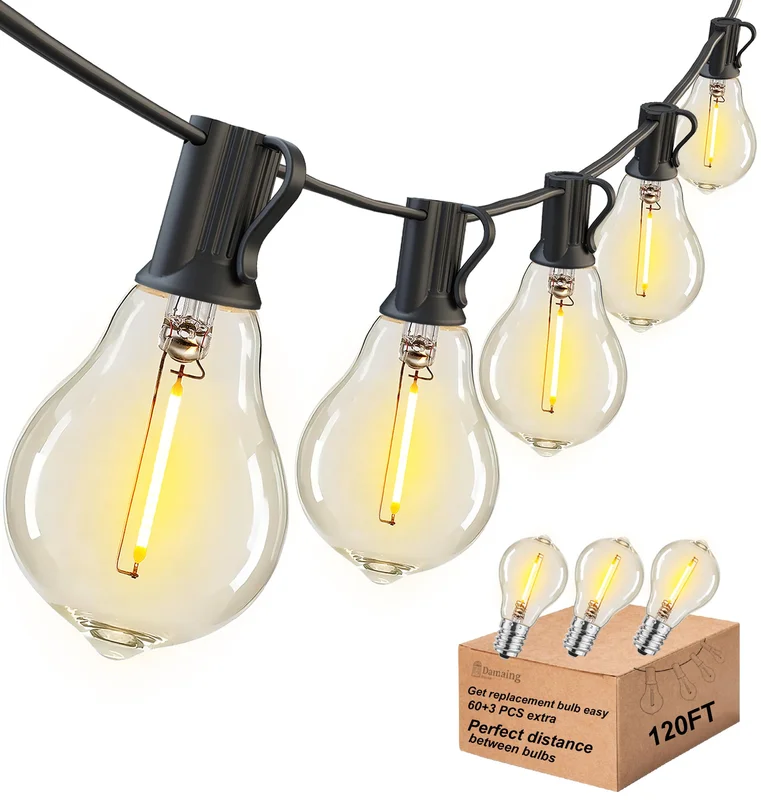 lightsdaddy419748