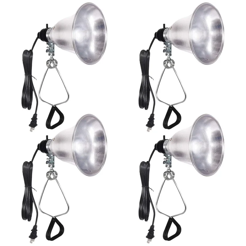 lightsdaddy422457