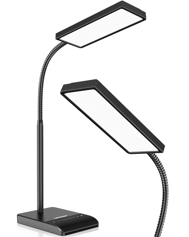 lightsdaddy424507