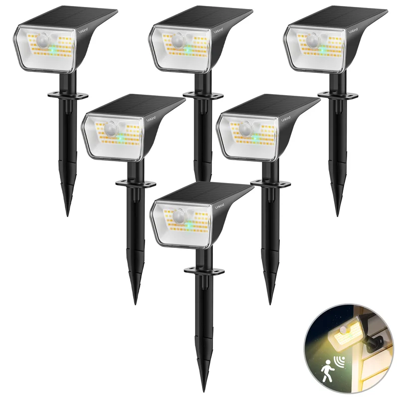 lightsdaddy426613