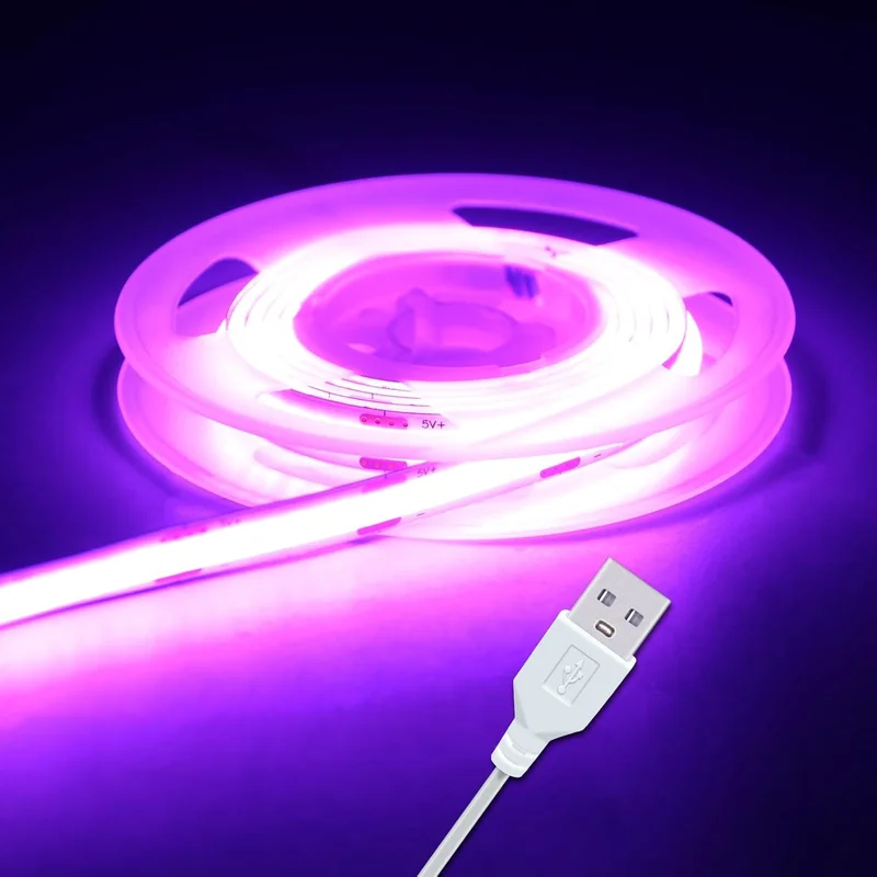 lightsdaddy426664