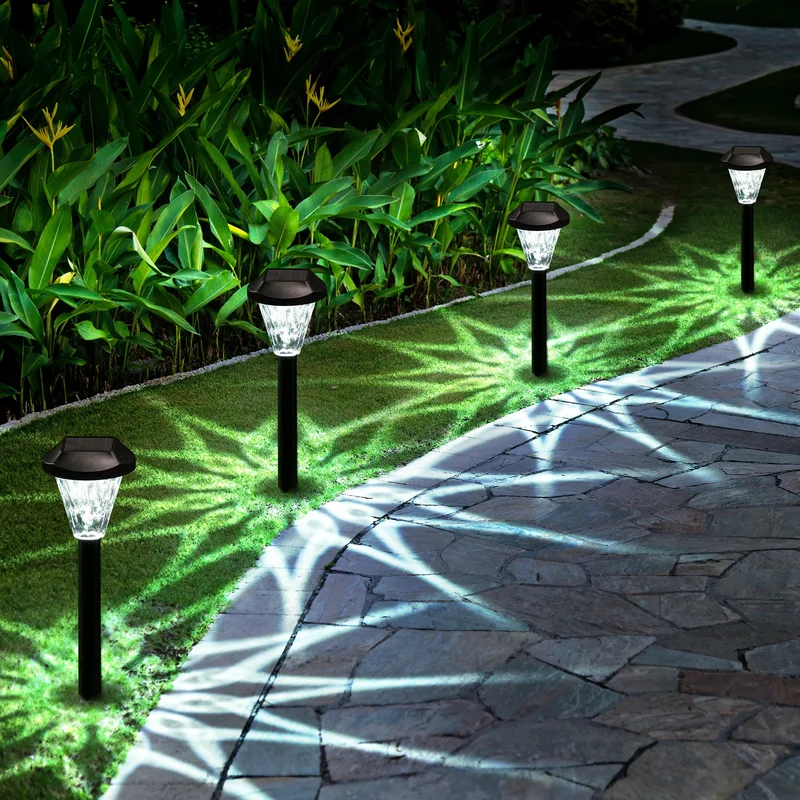 lightsdaddy427618