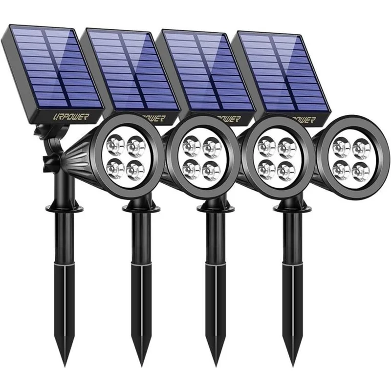 lightsdaddy437614