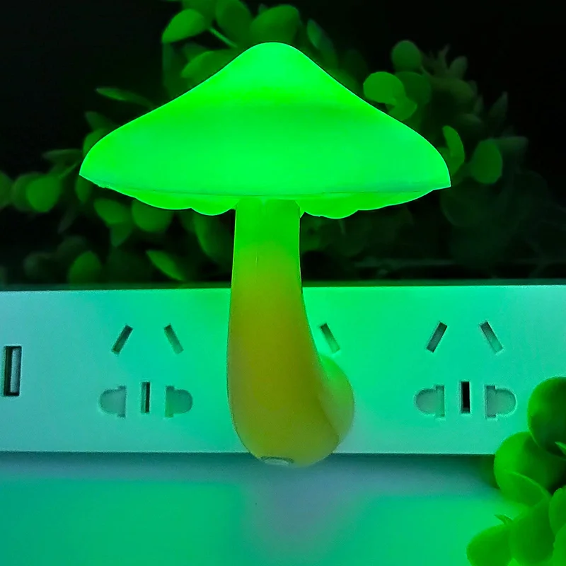 lightsdaddy446944
