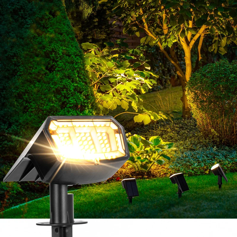 lightsdaddy454106
