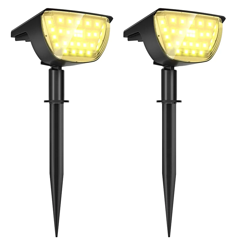lightsdaddy459525