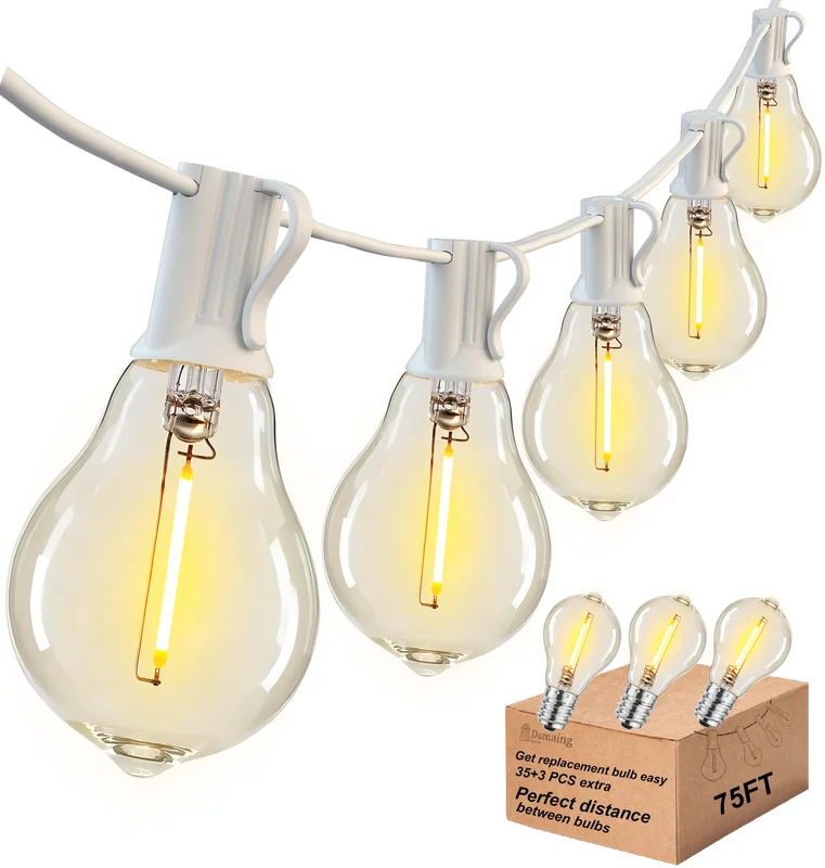 lightsdaddy464039