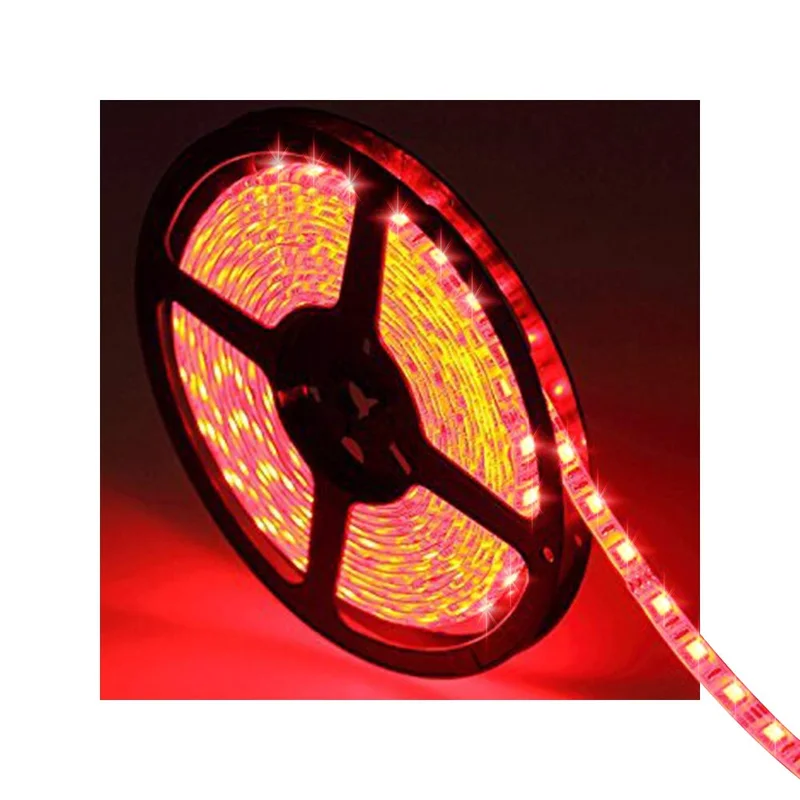lightsdaddy466657