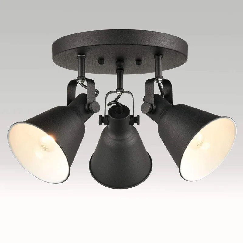 lightsdaddy482807