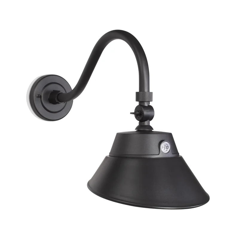 lightsdaddy486720