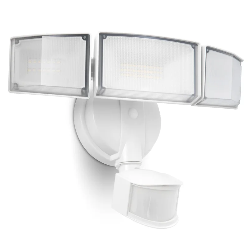 lightsdaddy490330