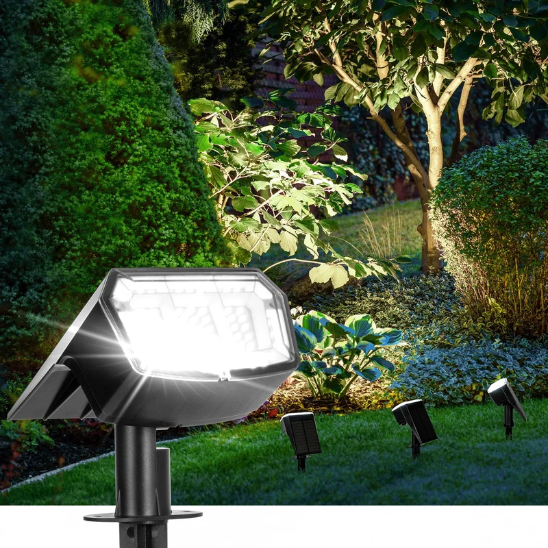 lightsdaddy492536