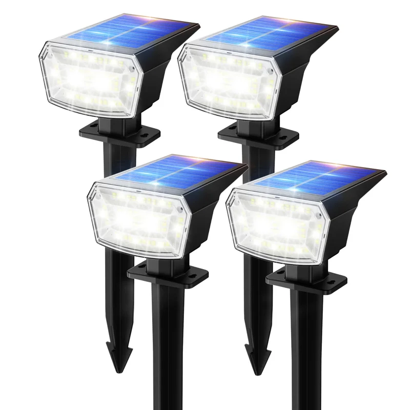 lightsdaddy493355