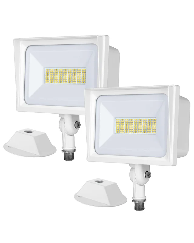 lightsdaddy495687
