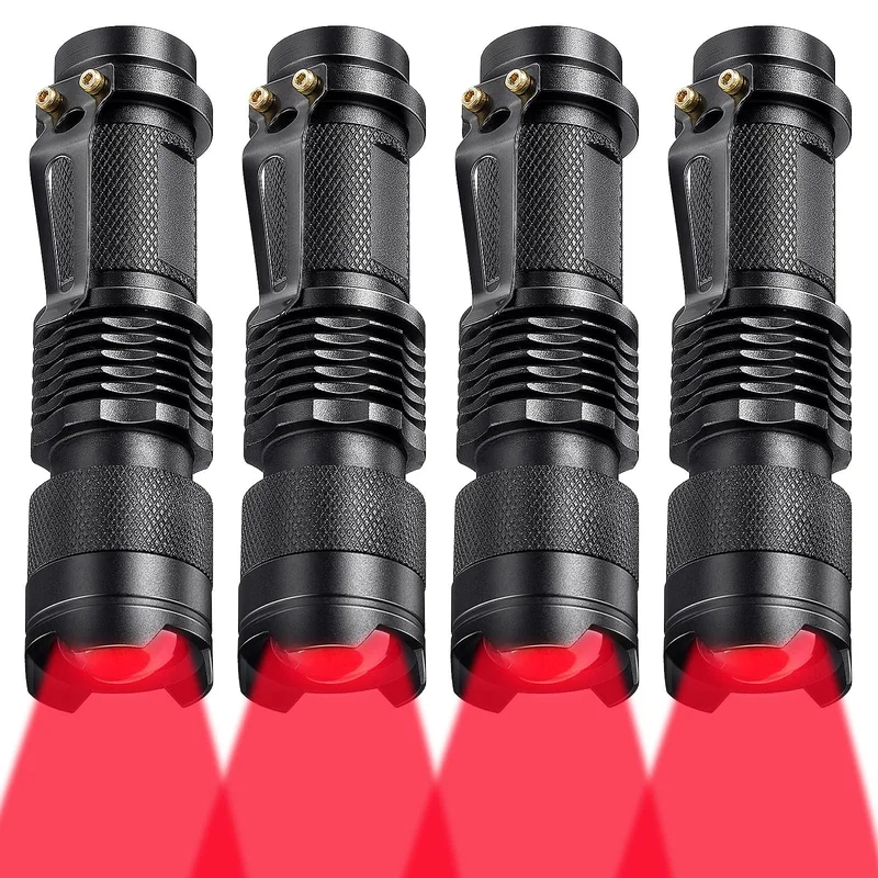 lightsdaddy496457