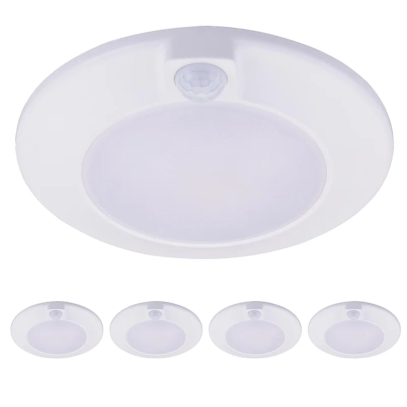 lightsdaddy498159