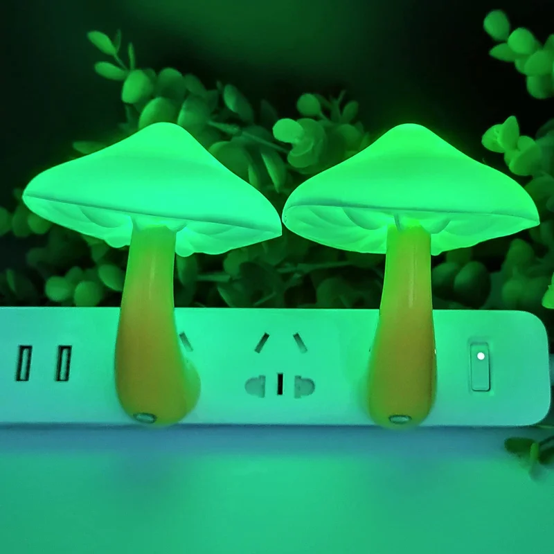 lightsdaddy499305
