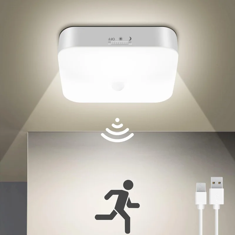 lightsdaddy499574