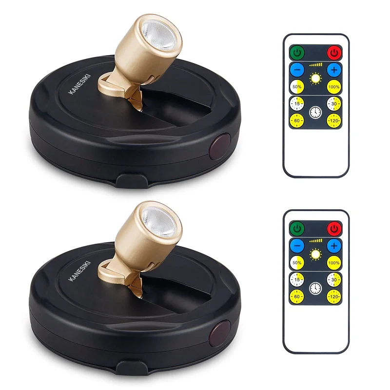 lightsdaddy499767