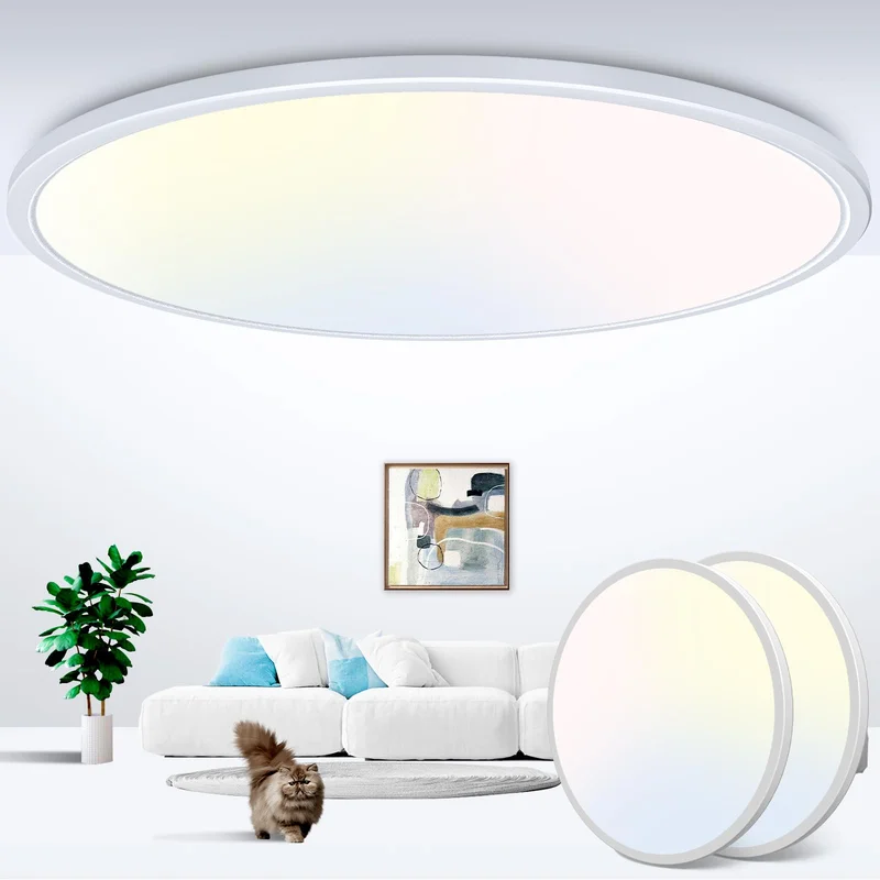 lightsdaddy500250