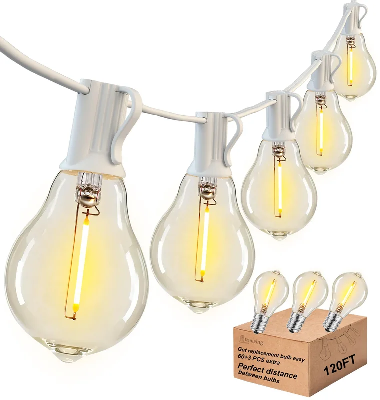 lightsdaddy501751