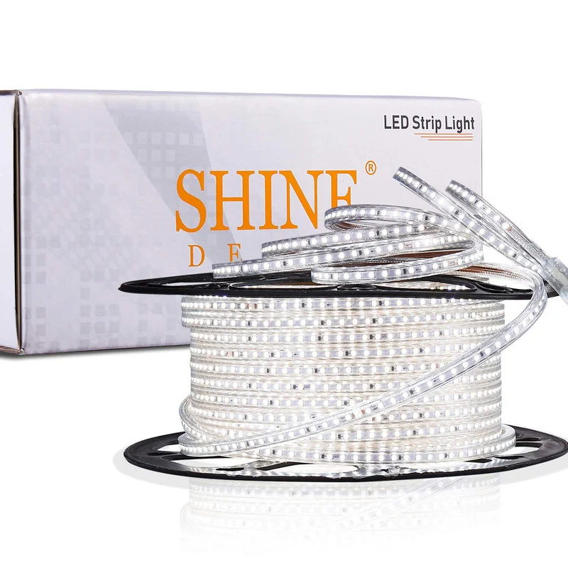lightsdaddy503000