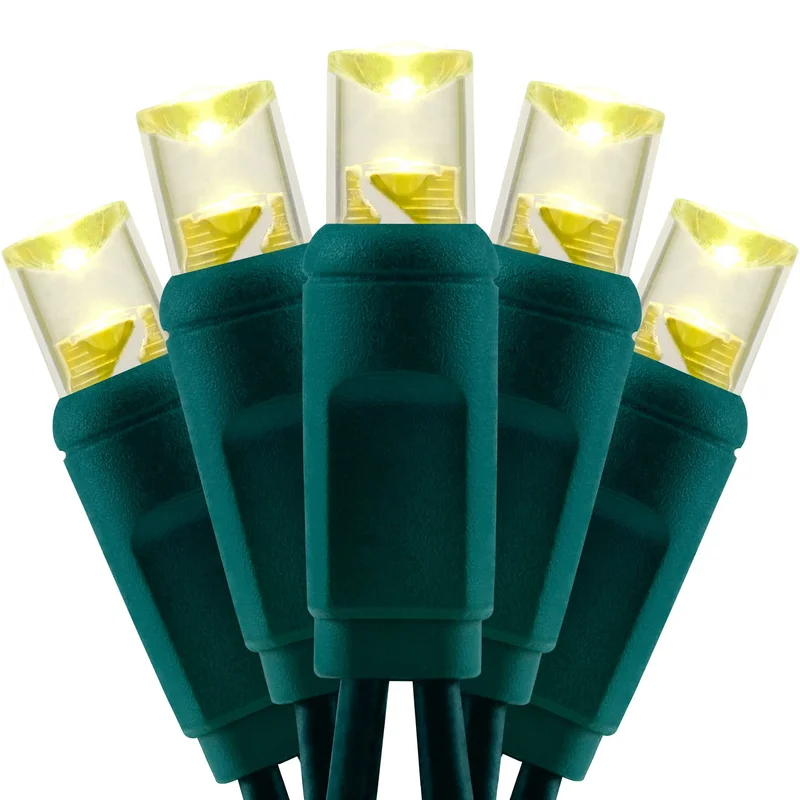 lightsdaddy506735