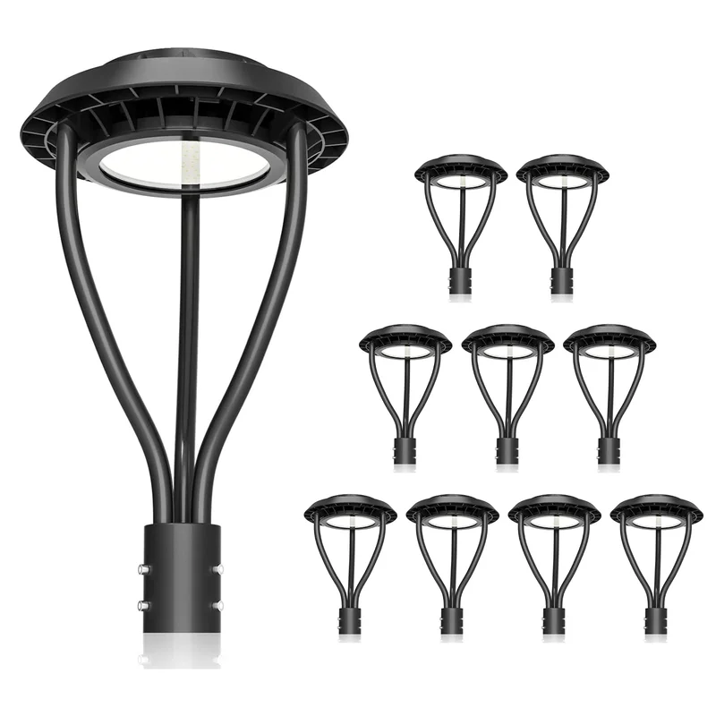 lightsdaddy516678